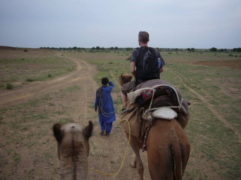 Travel - India - Rajasthan - Desert Camel Trip - Camel Safari